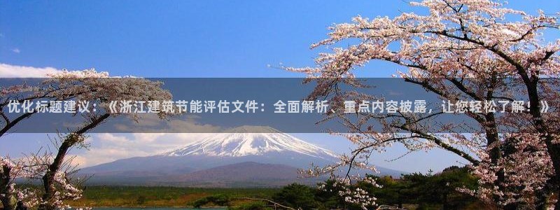 E尊国际网站：优化标题建议：《浙江建筑节能评估文件：全面解析、重点内容披露，让您轻松了解！》