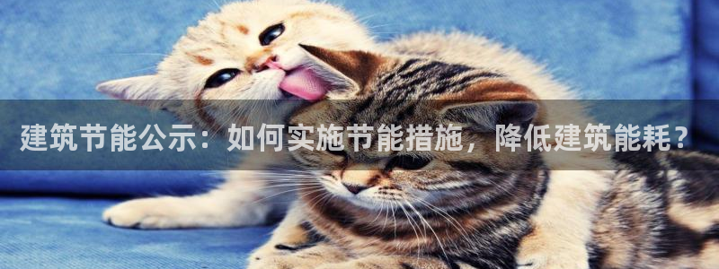 e尊国际是个黑网