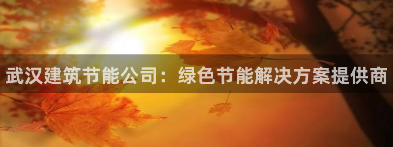 e尊国际-e尊国际官网