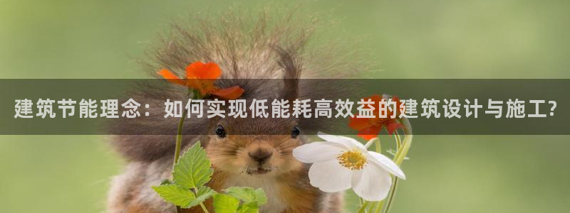 e尊国际地址