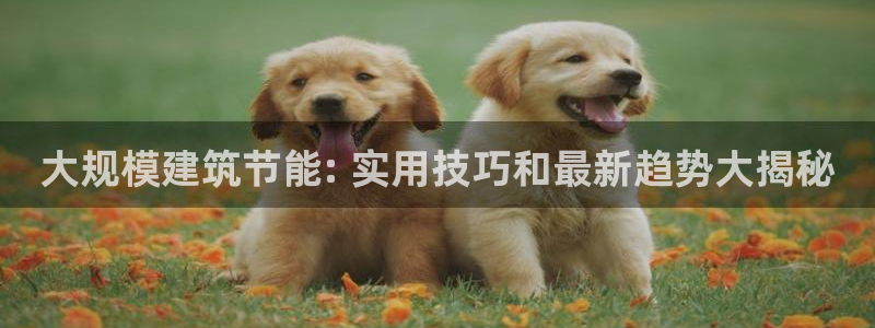 e尊官网：大规模建筑节能: 实用技巧和最新趋势大揭秘