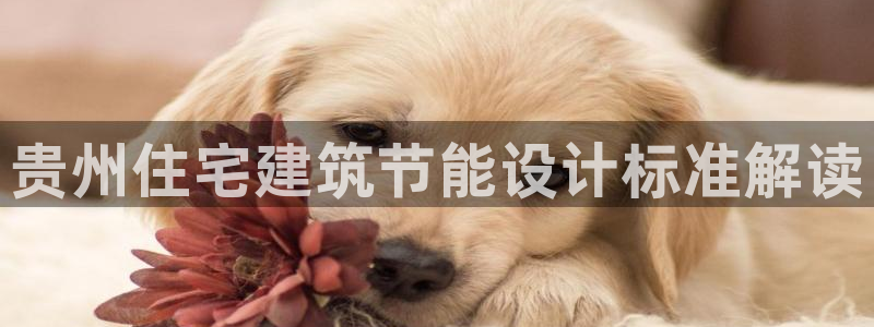 e尊国际官网