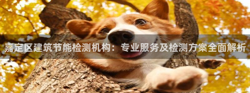 e尊国际的手机登录网站：嘉定区建筑节能检测机构：专业服务及检测方案全面解析