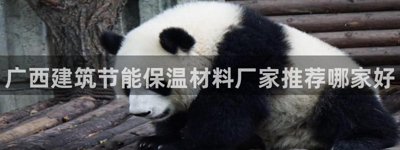 e尊国际-e尊国际官网：广西建筑节能保温材料厂家推荐哪家好