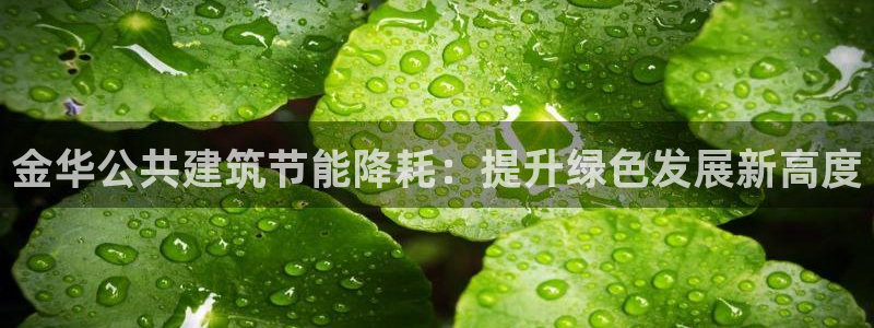 e尊电竞：金华公共建筑节能降耗：提升绿色发展新高度