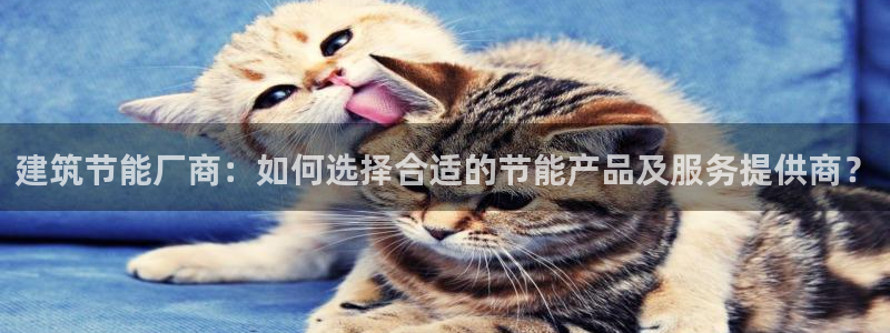 e尊国际地址：建筑节能厂商：如何选择合适的节能产品及服务提供商？