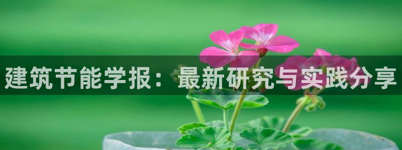 e尊国际7779：建筑节能学报：最新研究与实践分享