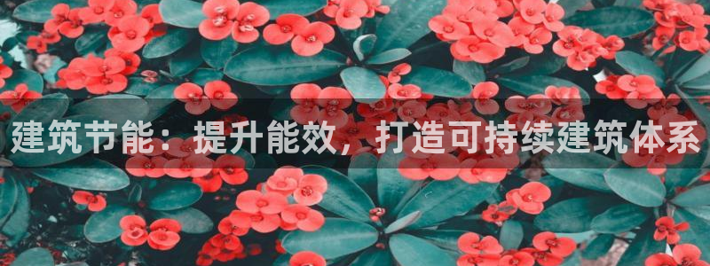 尊亿娱乐国际官网：建筑节能：提升能效，打造可持续建筑体系