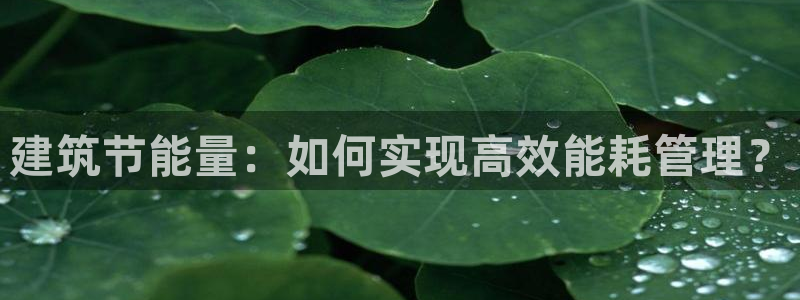 e尊国际客户端：建筑节能量：如何实现高效能耗管理？