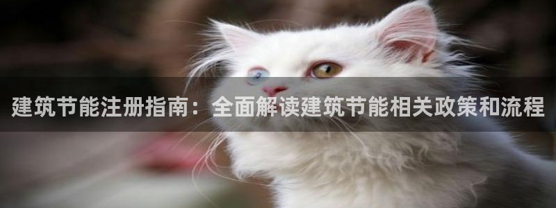 e尊国际网址：建筑节能注册指南：全面解读建筑节能相关政策和流程
