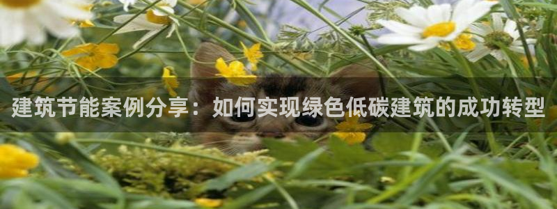 e尊国际平台：建筑节能案例分享：如何实现绿色低碳建筑的成功转型