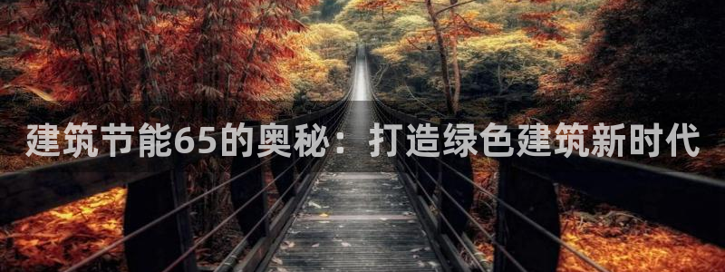 e尊国际-可可计划：建筑节能65的奥秘：打造绿色建筑新时代