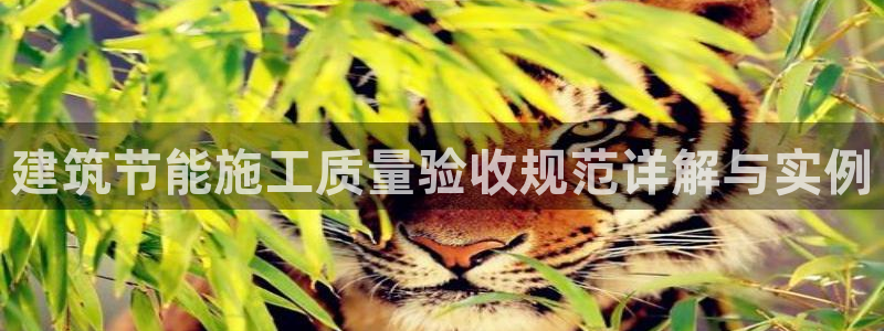 e尊国际官网app：建筑节能施工质量验收规范详解与实例