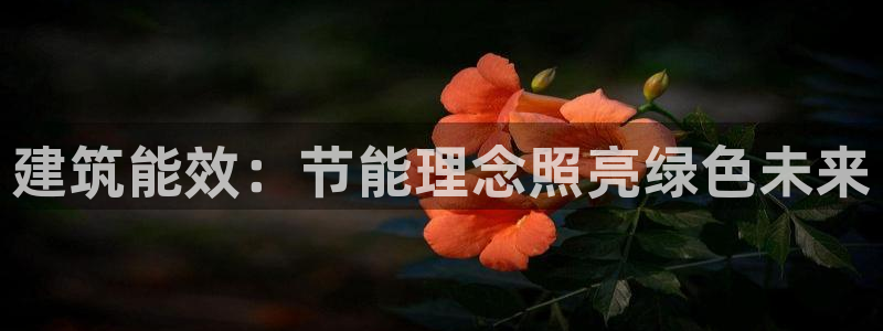 e尊国际客户端：建筑能效：节能理念照亮绿色未来