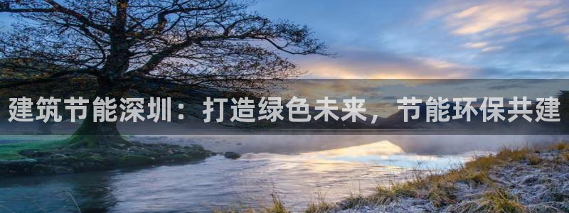 谁知道e尊国际的网址：建筑节能深圳：打造绿色未来，节能环保共建