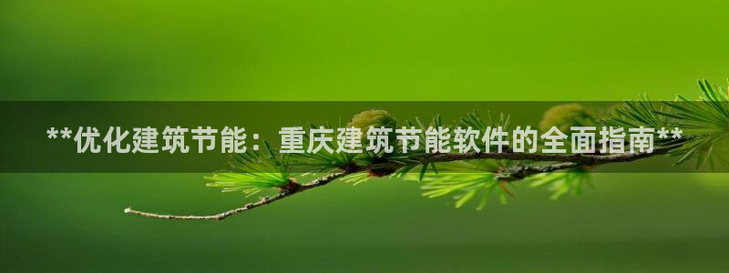e尊国际-可可计划：**优化建筑节能：重庆建筑节能软件的全面指南**