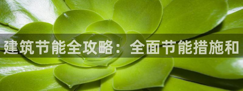e尊国际是个黑网：建筑节能全攻略：全面节能措施和