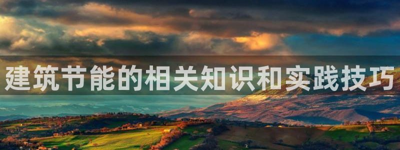 e尊国际地址