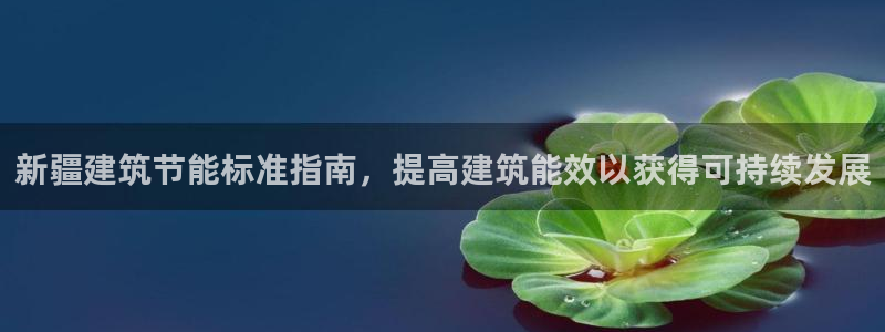 e尊国际-e尊国际官网：新疆建筑节能标准指南，提高建筑能效以获得可持续发展