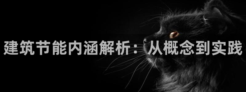 e尊国际是个黑网：建筑节能内涵解析：从概念到实践
