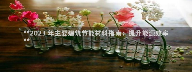 e尊国际是干什么的：**2023 年主要建筑节能材料指南：提升能源效率
**