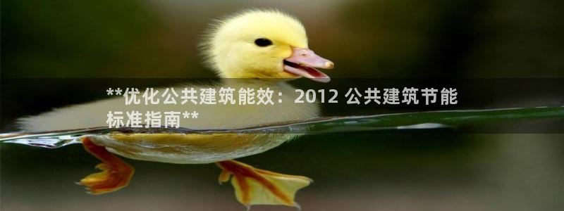e尊国际-e尊国际官网：**优化公共建筑能效：2012 公共建筑节能
标准指南**