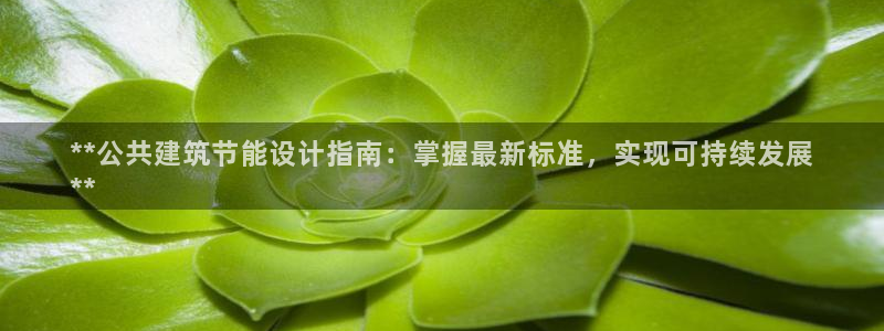 e尊国际平台：**公共建筑节能设计指南：掌握最新标准，实现可持续发展
**