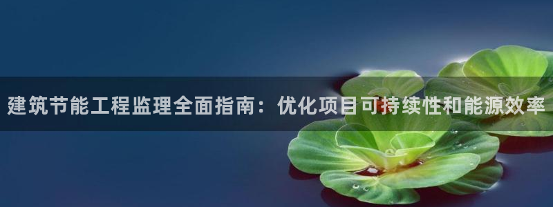 e尊国际地址：建筑节能工程监理全面指南：优化项目可持续性和能源效率