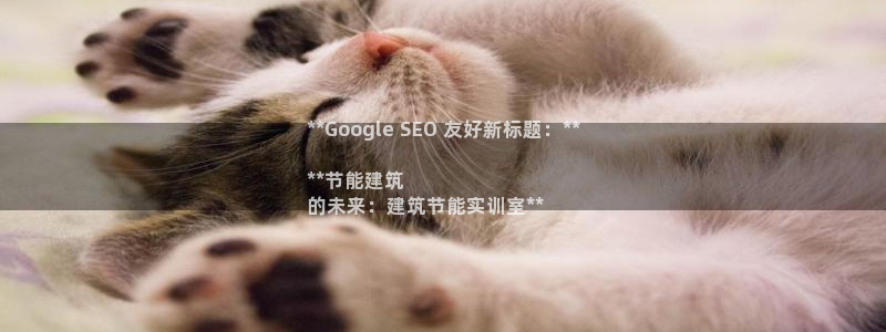 谁知道e尊国际的网址：**Google SEO 友好新标题：**

**节能建筑
的未来：建筑节能实训室**