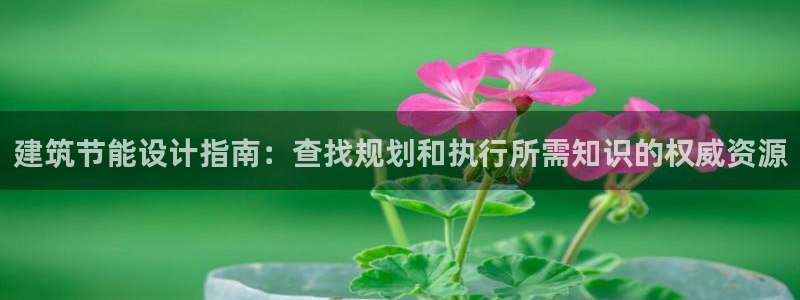 e尊官网：建筑节能设计指南：查找规划和执行所需知识的权威资源