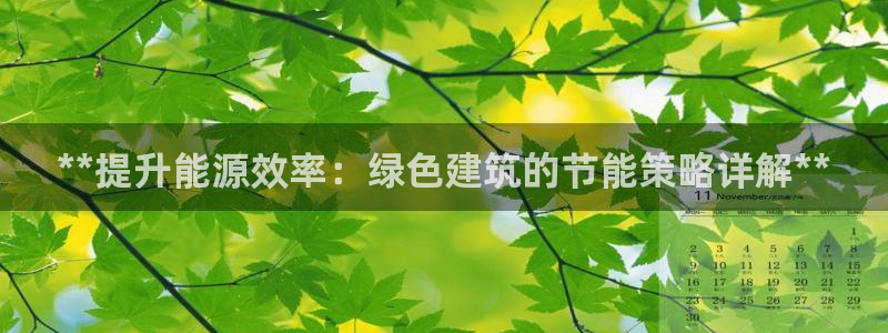 e尊国际官网·网址：**提升能源效率：绿色建筑的节能策略详解**