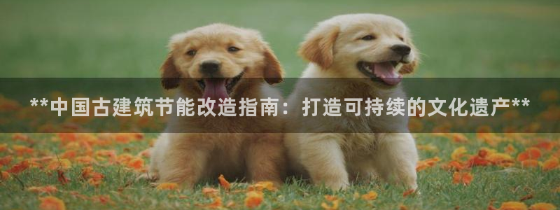 e尊国际-可可计划：**中国古建筑节能改造指南：打造可持续的文化遗产**