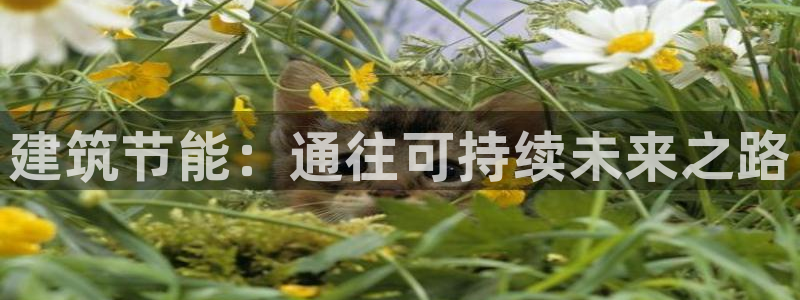 e尊国际客服：建筑节能：通往可持续未来之路