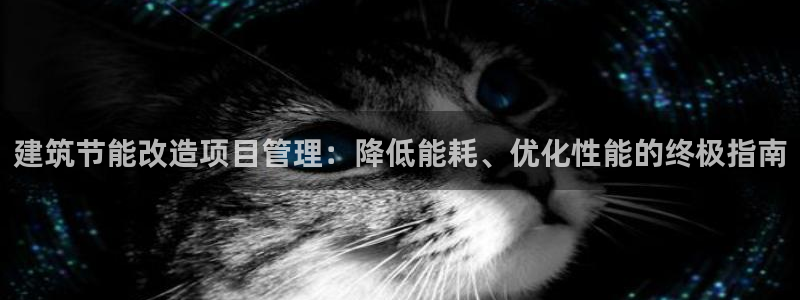 e尊国际是干什么的：建筑节能改造项目管理：降低能耗、优化性能的终极指南
