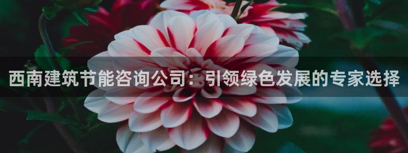 e尊国际客服：西南建筑节能咨询公司：引领绿色发展的专家选择
