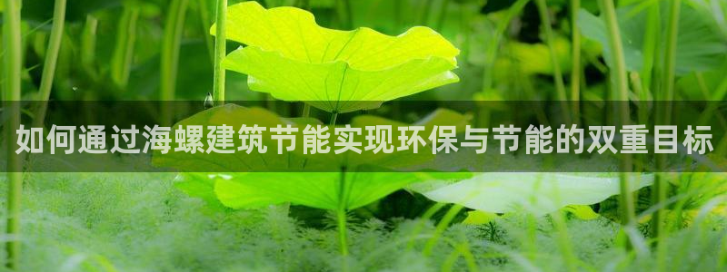 e尊国际平台：如何通过海螺建筑节能实现环保与节能的双重目标