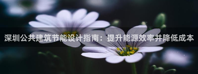 e尊国际客户端：深圳公共建筑节能设计指南：提升能源效率并降低成本