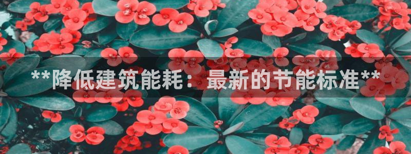 e尊国际客服：**降低建筑能耗：最新的节能标准**