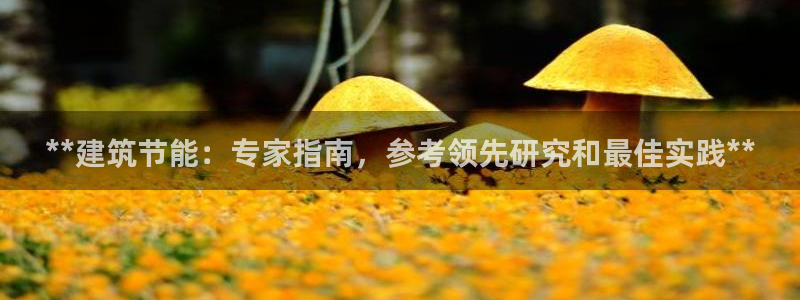 e尊国际平台：**建筑节能：专家指南，参考领先研究和最佳实践**