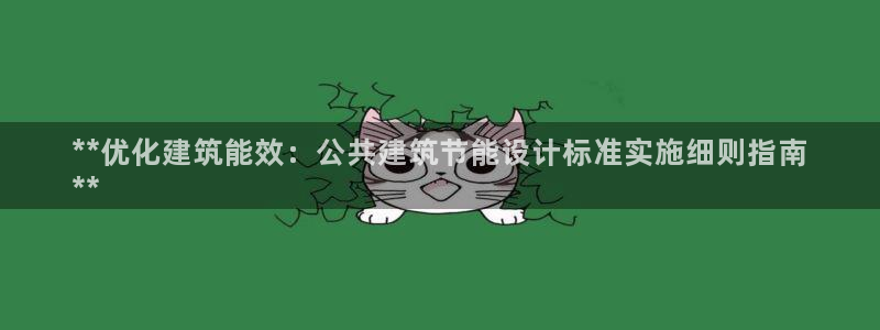 谁知道e尊国际的网址：**优化建筑能效：公共建筑节能设计标准实施细则指南
**