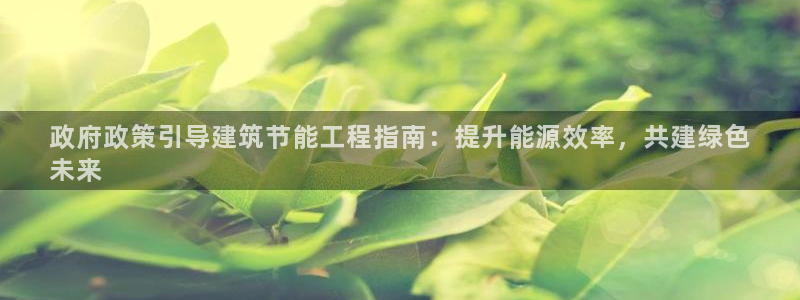 e尊国际客户端下载：政府政策引导建筑节能工程指南：提升能源效率，共建绿色
未来