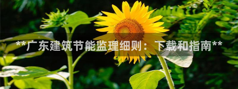 e尊国际是个黑网：**广东建筑节能监理细则：下载和指南**