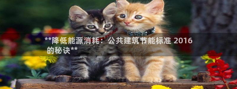 e尊国际平台：**降低能源消耗：公共建筑节能标准 2016
 的秘诀**