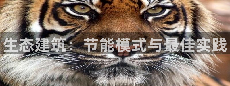 尊亿游戏国际官网：生态建筑：节能模式与最佳实践