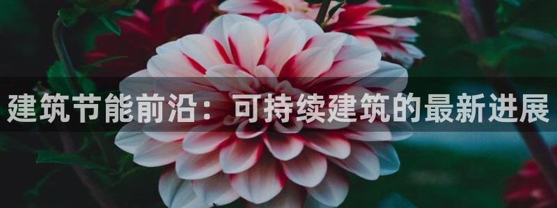 e尊官网：建筑节能前沿：可持续建筑的最新进展
