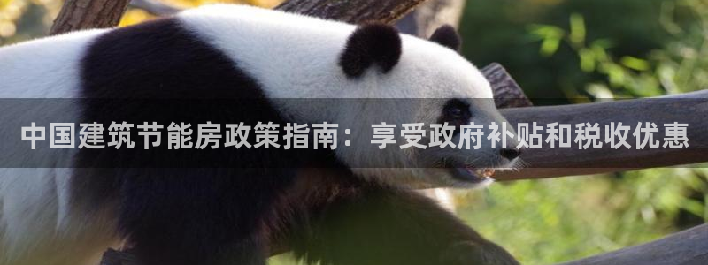 e尊国际官网·网址：中国建筑节能房政策指南：享受政府补贴和税收优惠