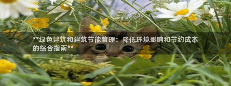 e尊国际娱乐官网地址：**绿色建筑和建筑节能管理：降低环境影响和节约成本
的综合指南**