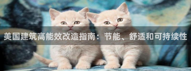 e尊国际-e尊国际官网