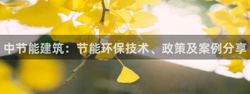 E尊国际