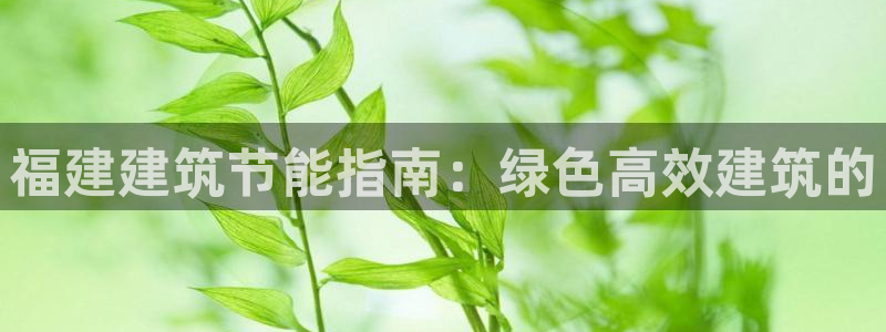 e尊国际官网app：福建建筑节能指南：绿色高效建筑的